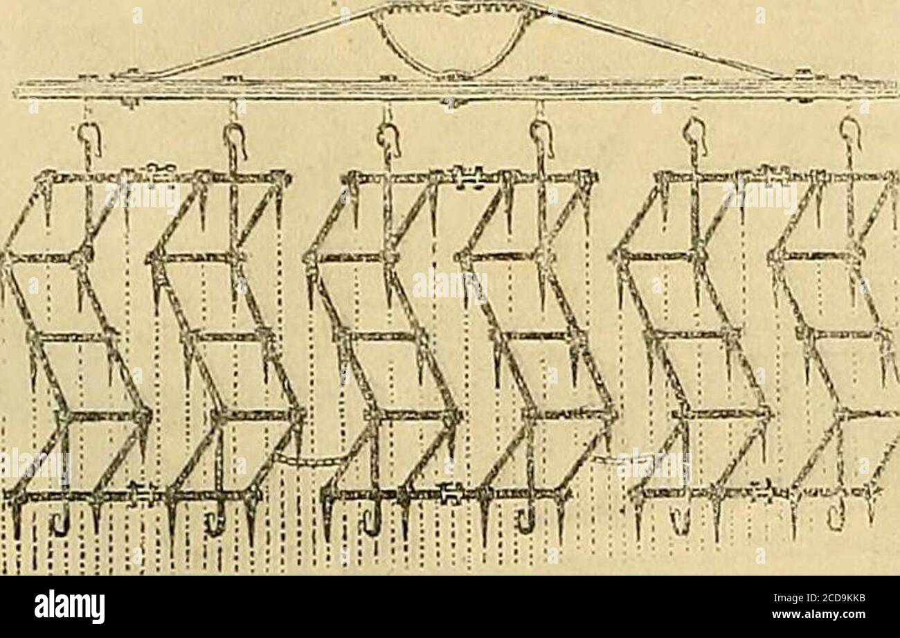 . La cronaca dei giardinieri e la gazzetta agricola rees, &c. VASI, BASI, MERIDIANE, FONTANE, SCATOLE DI FIORI, JARDINETS, CASSE DI FELCI, BALAUSTRE, BORDATURE E CORDOLI PER FLOWERBORDERS, SEDILI, &c., pietra silicea maltrattabile,•a prezzi ridotti, per l'ornamento del Giardino della Villa, del Palazzo, del Parco privato o pubblico. Per le illustrazioni a prezzo si applicano a Frederick Ransonome, Atthe Show Kooms, Cannon Row, Westminster, S.W., o Patent-Stone Works, Ipswich. M1 VALUTAZIONI ORTICOLE.R. ALFRED CHANDLER (della ditta tardiva di Chandler & Sons, Vauxhall), chiede di informare la sua amicizia Foto Stock