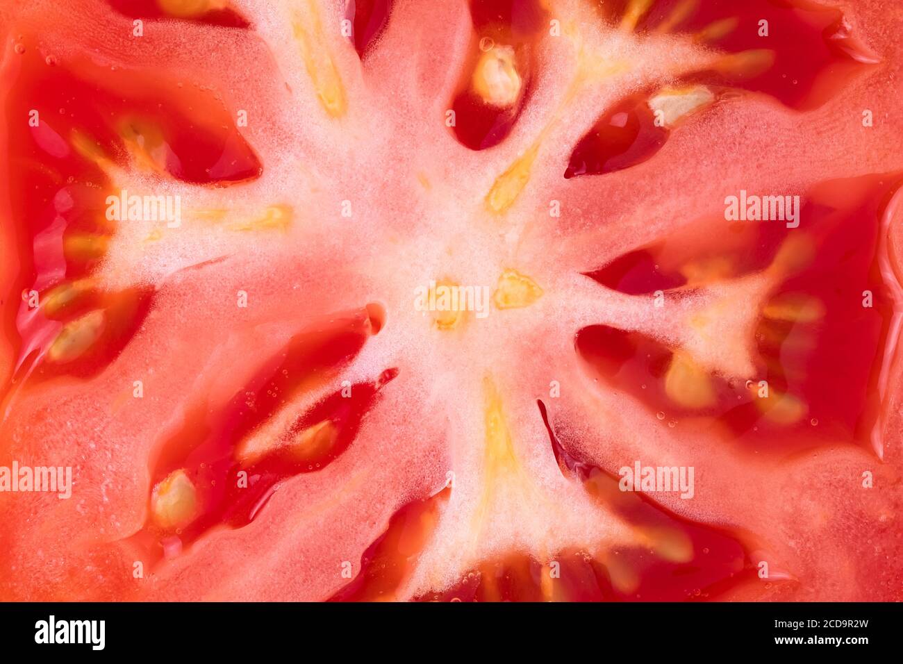 Primo piano di una fetta di pomodoro, macro di frutti rossi crudi, sfondo astratto, modello Foto Stock