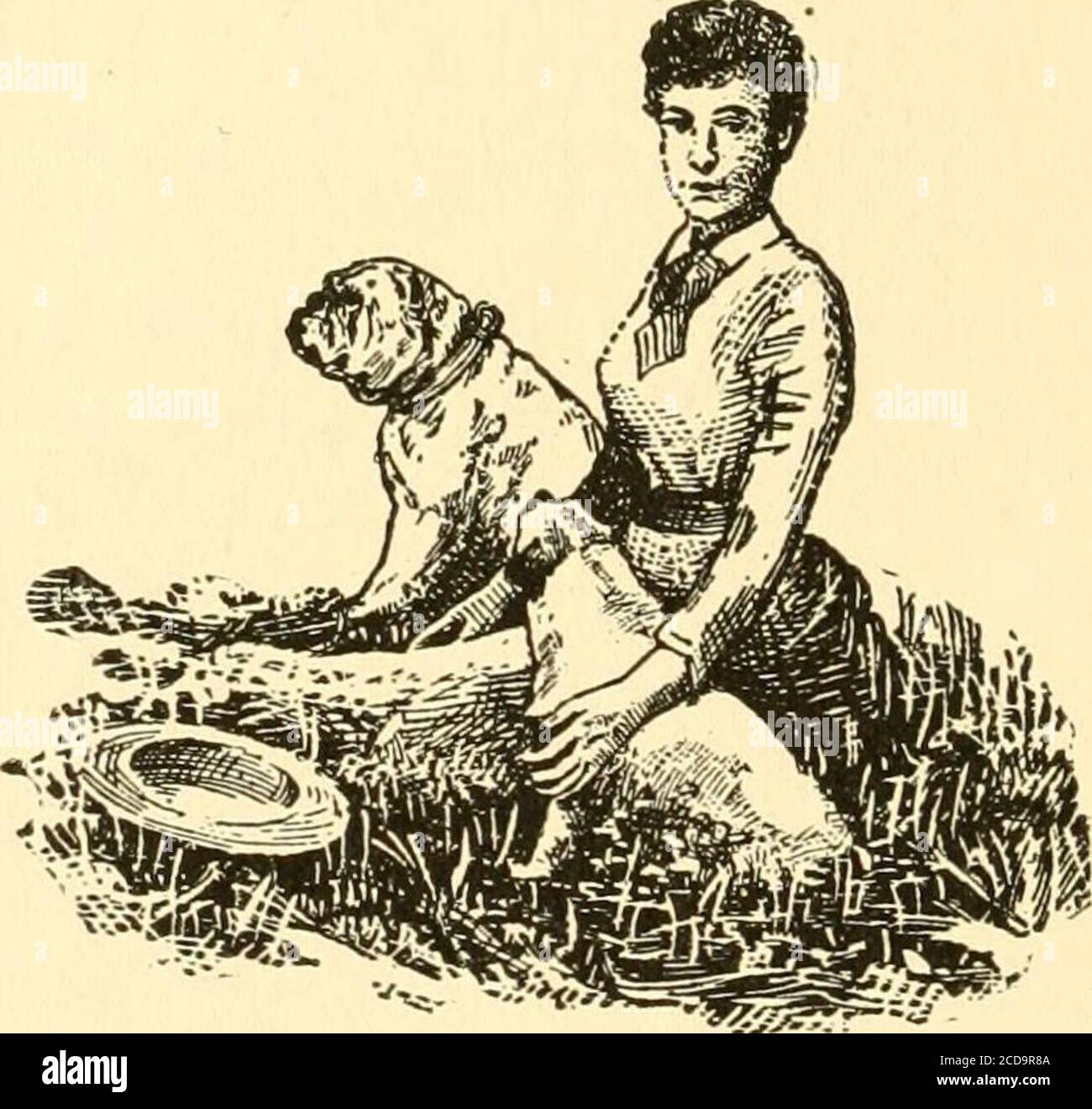 . Segreti di Kennel : come allevare, esporre, e cani da mannage . poco necessario aggiungere che se per i cani da uomo le uova dovrebbero essere sempre fresche, per quando stantio, anche se non hanno fatto un approccio vicino alla decadenza, sono facilmente digeriti lontano che il nuovo-posato. Il tema del pesce è presto smaltito. Tutti i kindsche sono stati catturati di recente e correttamente cucinati a volte possono essere usati nell'alimentazione dei cani, ma semplicemente per varythe dieta, per mentre nutriente, come solitamente servito, arenot molto digeribile; inoltre, i cani raramente mostrano alcuna affettuosità per questo alimento e generalmente lo mangiano sotto protesta, Foto Stock