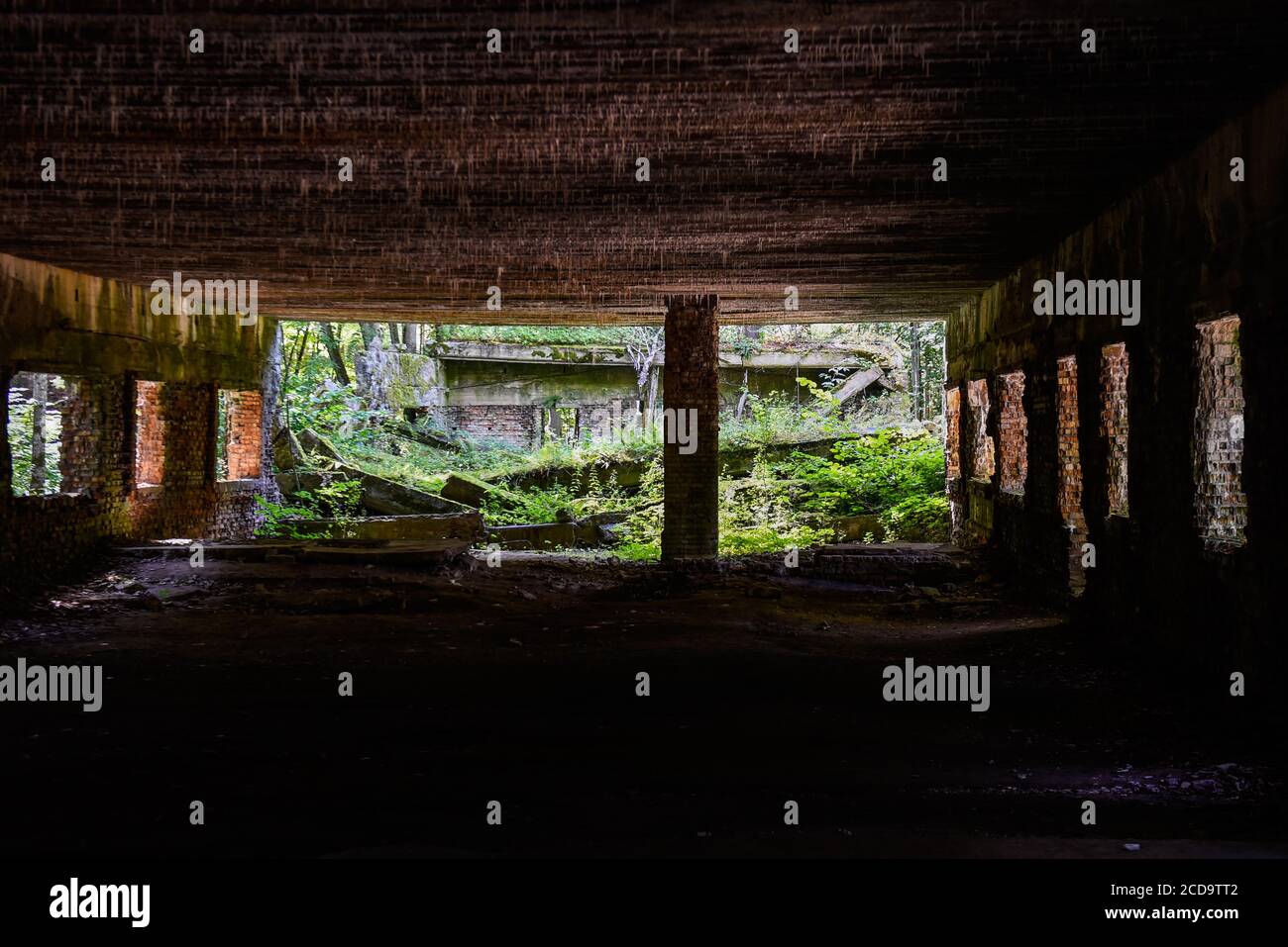 Una vista interna di una parte distrutta del bunker storico di Wolf's Lair, il primo quartier generale militare di Hitler sul fronte orientale con l'obiettivo di avviare l'Unione Sovietica, A Gierloz. Il famoso Wolf's Lair era uno dei quartieri generali segreti più importanti della Germania nazista situata oggi nella Polonia orientale. Il sito nazista è famoso per il tentativo di assassinio della vita Hitler di Adolf, nota come operazione Valkyrie, Claus von Stauffenberg e altri che hanno preso di mira Hitler con una bomba a valigia durante un incontro all'interno del Lair di Wolf. Foto Stock