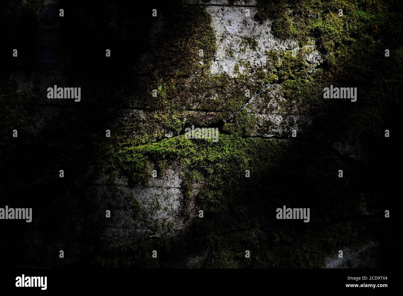 Gierloz, Polonia. 22 agosto 2020. La luce del sole giace su un muro rotto di bunker distrutto che serviva come una casa da tè per i soldati nazisti parte della storica Wolf's Lair, il primo quartier generale militare di Hitler sul fronte orientale con l'obiettivo di iniziare l'Unione Sovietica, a Gierloz. Il famoso Wolf's Lair era uno dei quartieri generali segreti più importanti della Germania nazista situata oggi nella Polonia orientale. Il sito nazista è famoso per il tentativo di assassinio della vita Hitler di Adolf noto come operazione Valkyrie, Claus von Stauffenberg e altri hanno preso di mira Hitler con una bomba a valigia durante un meeti Foto Stock