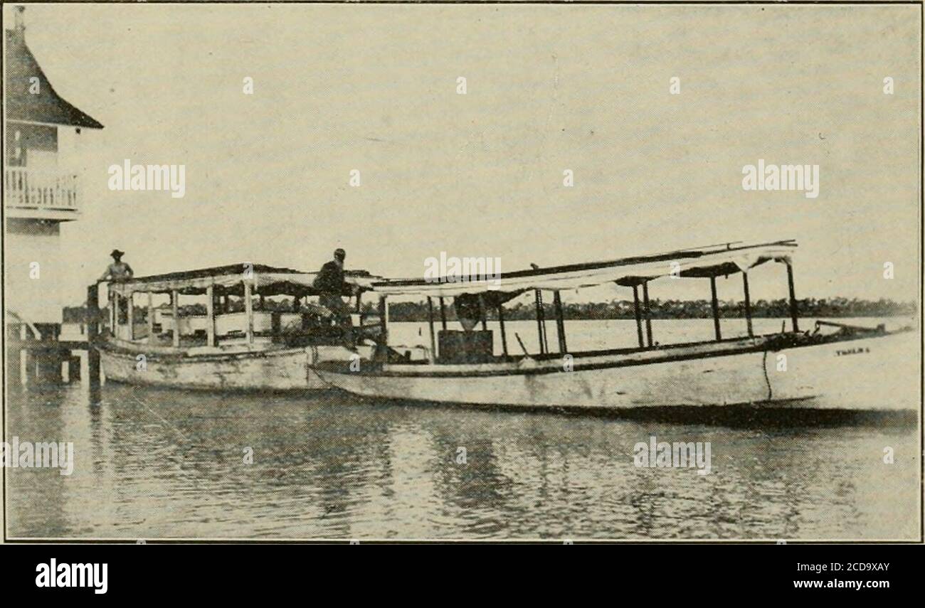 . Gleanings nella coltura delle api . r. MR.P o p p 1 e t o nvenuto a Flor-ida in 188«, e beganbee-keei^ingas un businessai una volta. ForTwo anni (1888 e 1889) è stato a Cuba, sperimentando; poi è tornato a Floridaand ha risieduto qui continuamente da allora.ha 280 colonie in sei apiari, 2 sulla terraferma e 4 sulle chiavi. Egli è, j)er-hai)s, meglio conosciuto al di fuori dello Stato (senza che sia il signor Hart) di qualsiasi altro uomo nelle file. La ragione non è solo dovuta al suo chiaro pensiero e al suo audace executionof piani, ma anche a causa del suo facilepen. Egli è, in effetti, il grande vecchio manof della Florida ape-uomini. Foto Stock