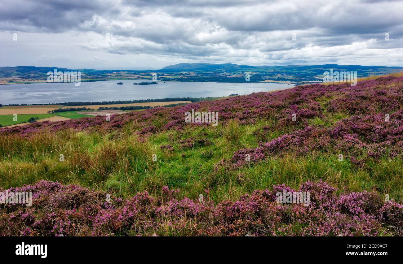 Una vista di Loch Leven, Fife, Scozia dalle pendici coperte di erica di Bishops Hill. Foto Stock