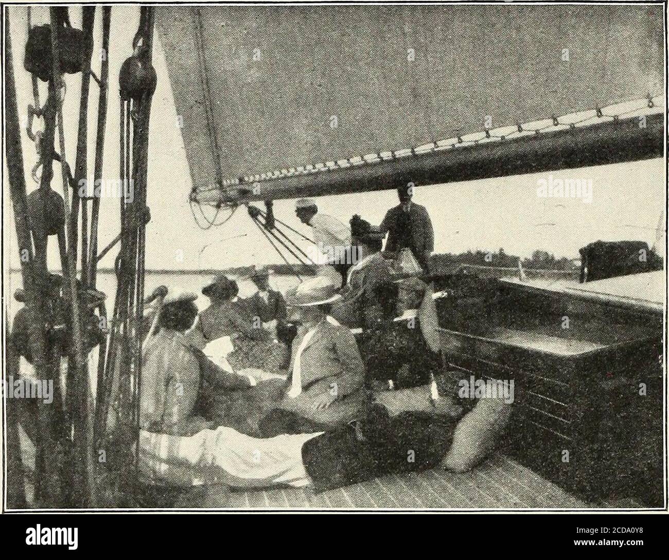 . San Nicola [seriale] . NERO-E-BIANCO CHE STRISCIANO WARBLERS. Di alberi. Ma un po' di osservazione mostra che i veri tratti guerrafondai dell'inquietudine, che si illuminano nervosamente da un luogo all'altro, si zaggingavanti e indietro, picchiando e sbirciando qui e là. Il picchio e il botola scricchiano più accuratamente e sistemati-cally. Il nido è di solito in un vecchio ceppo o su una riva di sucha mussosa, dove abbondano felci, come è mostrato nell'illustrazione. Il vestito bianco e nero ha dato a questo guerrieri il soprannome di uccello zebra. IL CAMPO ST. NICHOLAS LEAGUE,. UN GIORNO DI VACANZA. DI EDITH C. HOUSTON, 13 ANNI. (ORO BADG Foto Stock