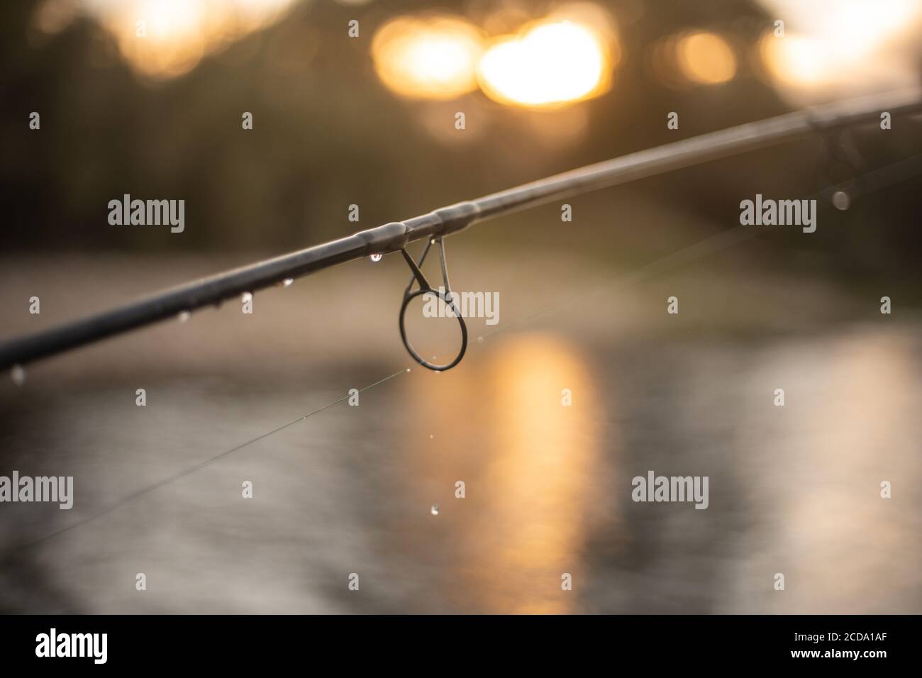 Colpo di primo piano di una canna da pesca con uno sfondo sfocato Foto Stock