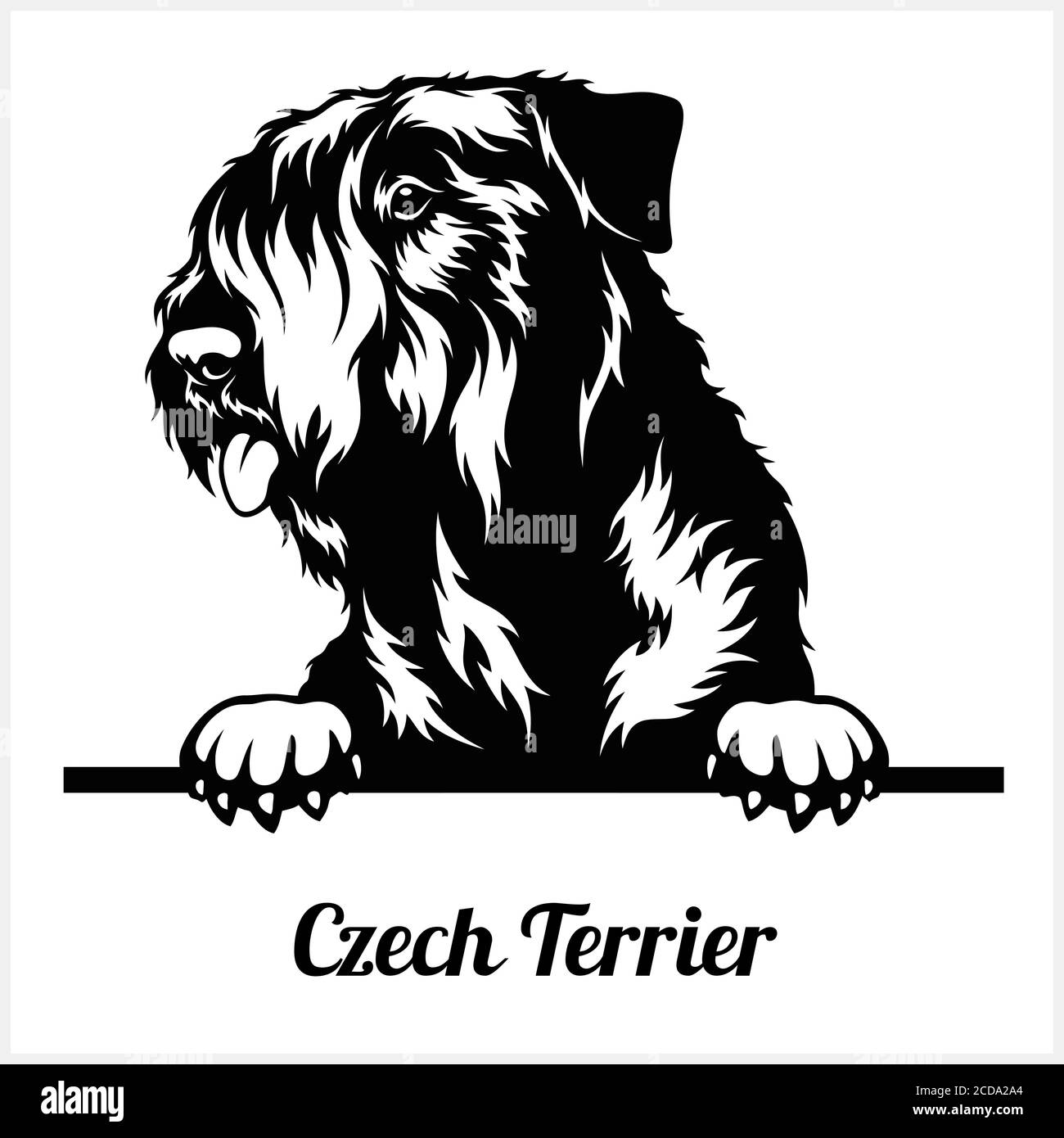 Czech Terrier - Peeking Dogs - razza faccia testa isolata su bianco Illustrazione Vettoriale