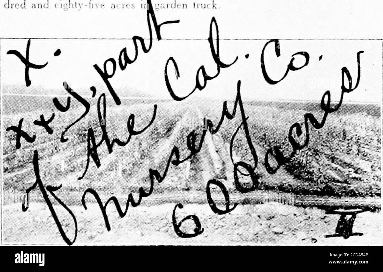 . Il futuro approvvigionamento idrico di San Francisco; un rapporto all'onorevole Segretario dell'interno e al Comitato consultivo degli ingegneri dell'esercito degli Stati Uniti . 7(10 GAI LiJAo J< M1NLI1-: FUMRAD 1 ROM L{|uaalfnl a galloni di tijiliion in 24 h<^iirs, il k:pl upOnly 25 mill.un allons pompò stagione di rjurmo, che isIrj una clia unilorni di soltanto 0.008 milioni di galloni per 24 ore. A WL.LL SULLA CAMPANA R,ANCI-1, DECOTO. CM. Mul lour roik-s norlhvijslerly da apice di Nlles Cone. Cento ei-dilv-fis. FIFI^-ACRO .Str..>l.^EERRi 1-BRACCIO. ,il E.-.ESL.-intarsio m 1911. KL 1 - M. Foto Stock