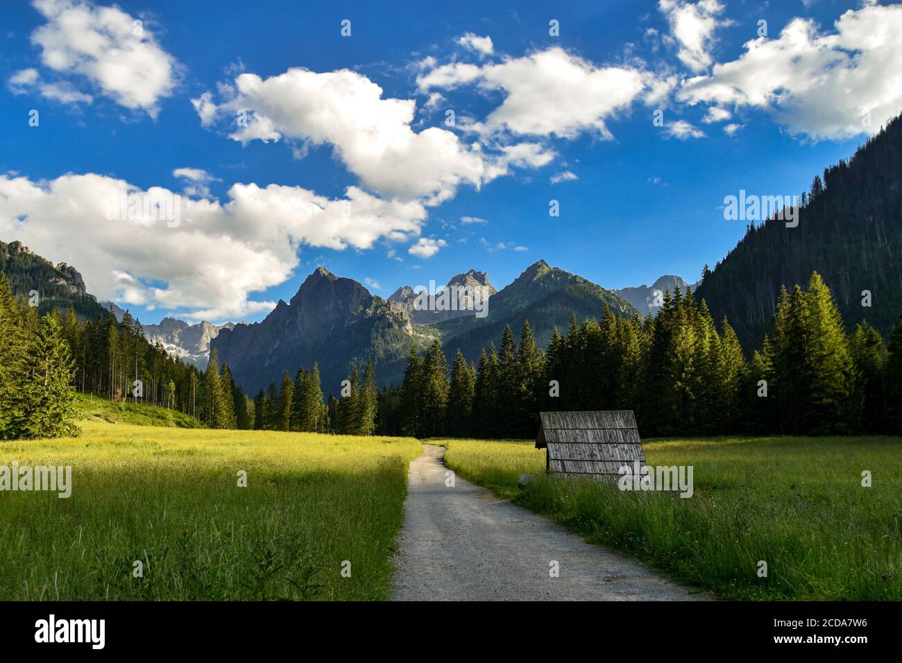 Bielovodska dolina, Dolina Bialej Wody, Valle d'acqua bianca nei monti Tatra. Bellissimo panorama sui monti Tatra, Dolina Bialej Wody. Estate rocciosa. Foto Stock