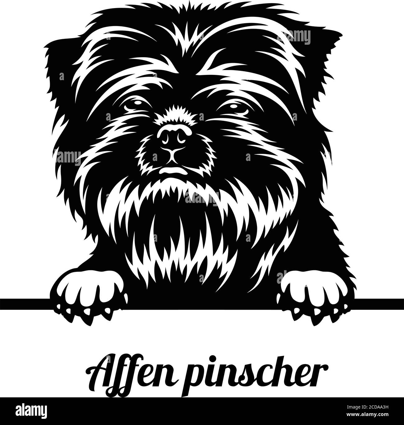 Peping cane è una razza Affen Pinscher. Illustrazione Vettoriale