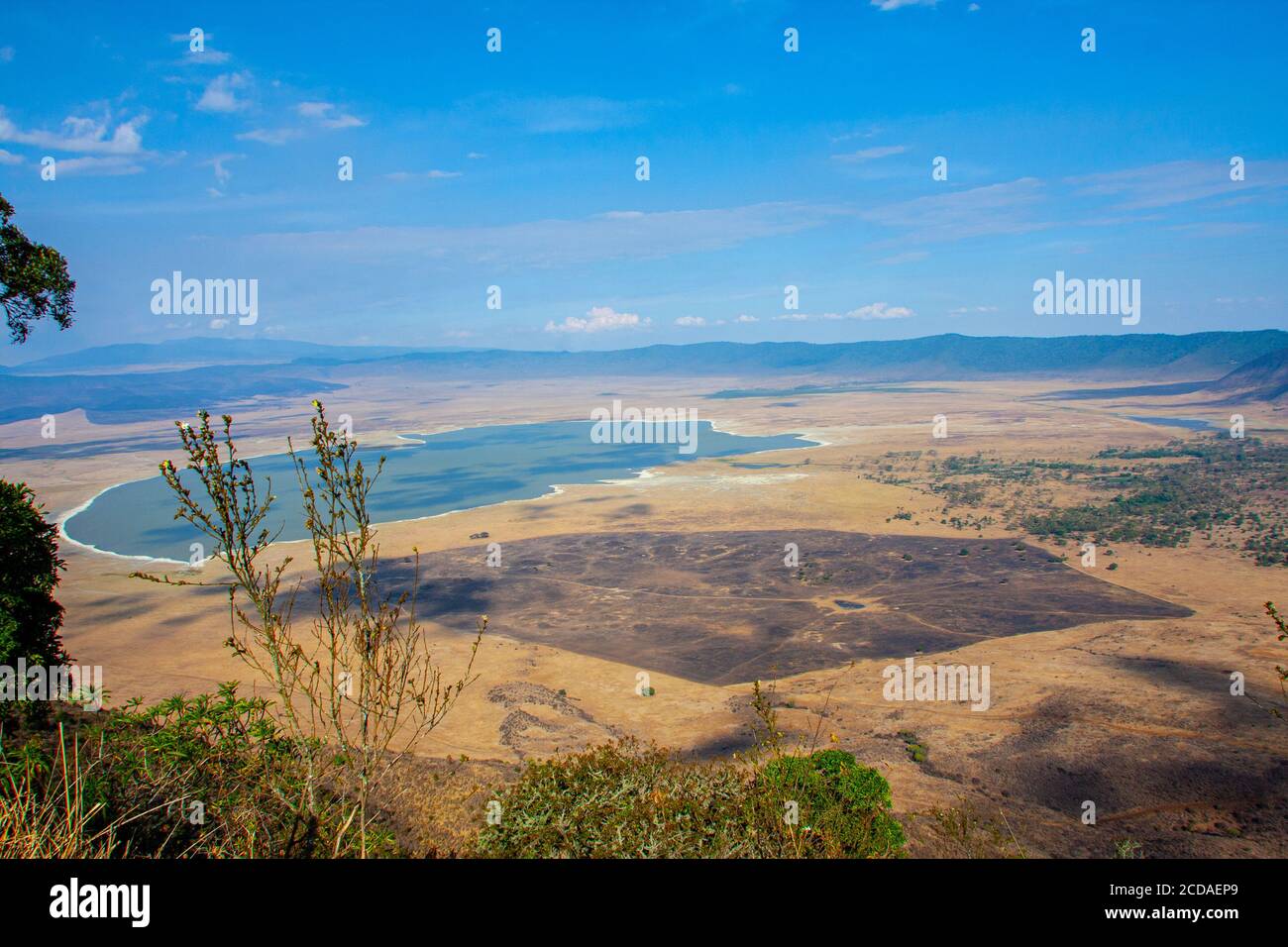 Vista panoramica del cratere e del bordo della zona di conservazione di Ngorongoro, Tanzania. Anche il Lago Magadi è visibile Foto Stock