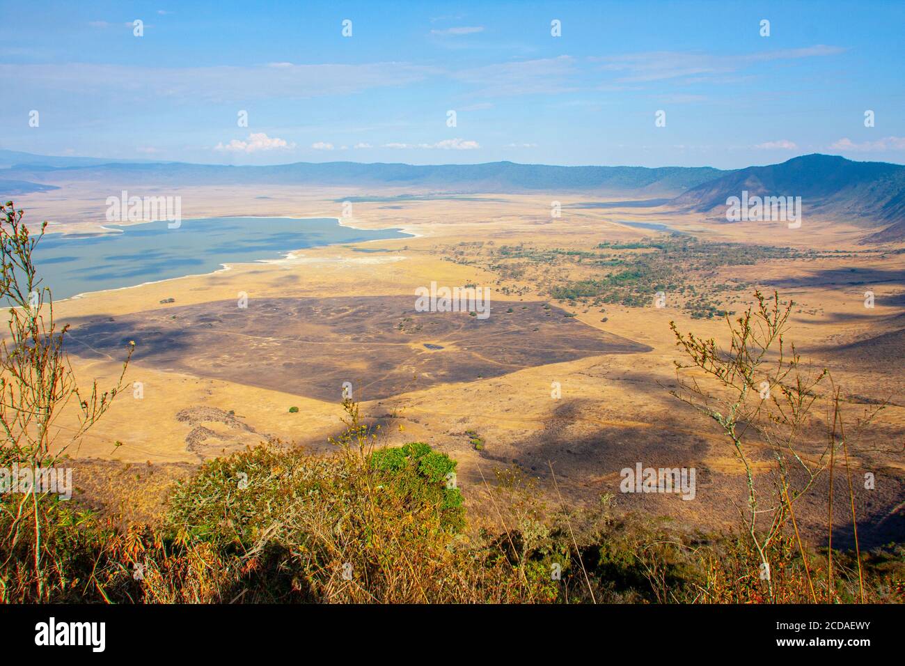 Vista panoramica del cratere e del bordo della zona di conservazione di Ngorongoro, Tanzania. Anche il Lago Magadi è visibile Foto Stock