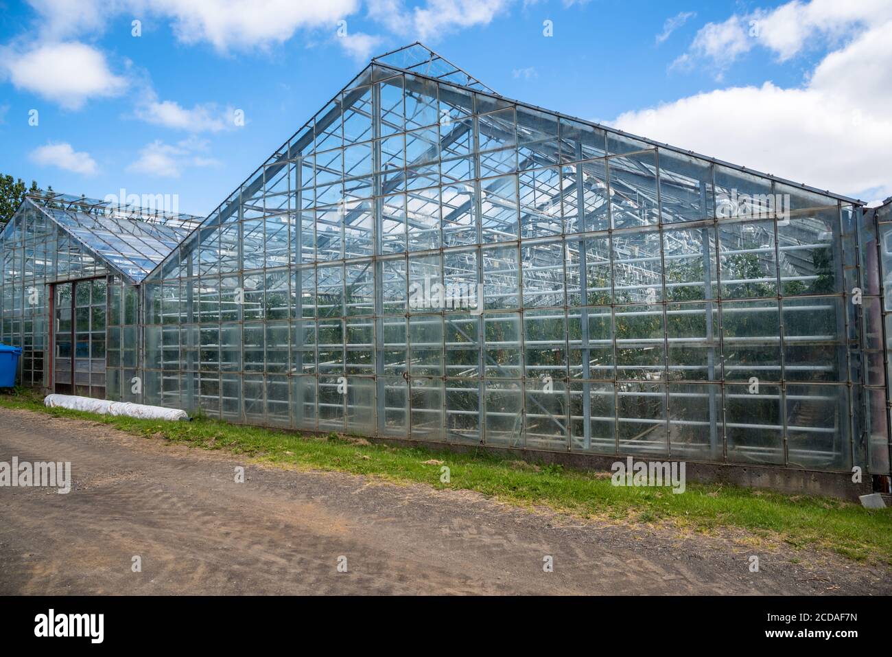 Esterno di granai riscaldati con energia geotermica per la produzione di pomodori In Islanda in una giornata estiva limpida Foto Stock
