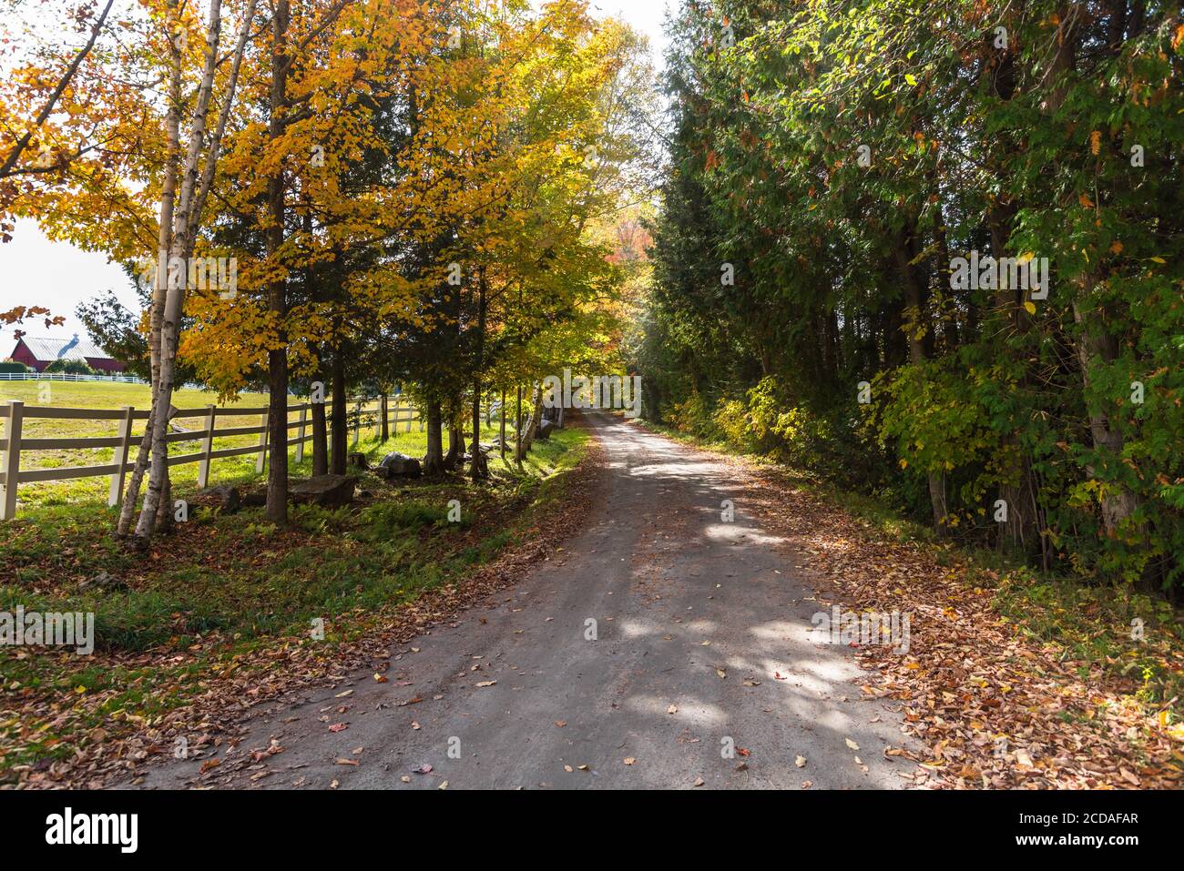 Deserta strada posteriore fiancheggiata da una recinzione attraverso alberi decidui in una soleggiata giornata autunnale Foto Stock