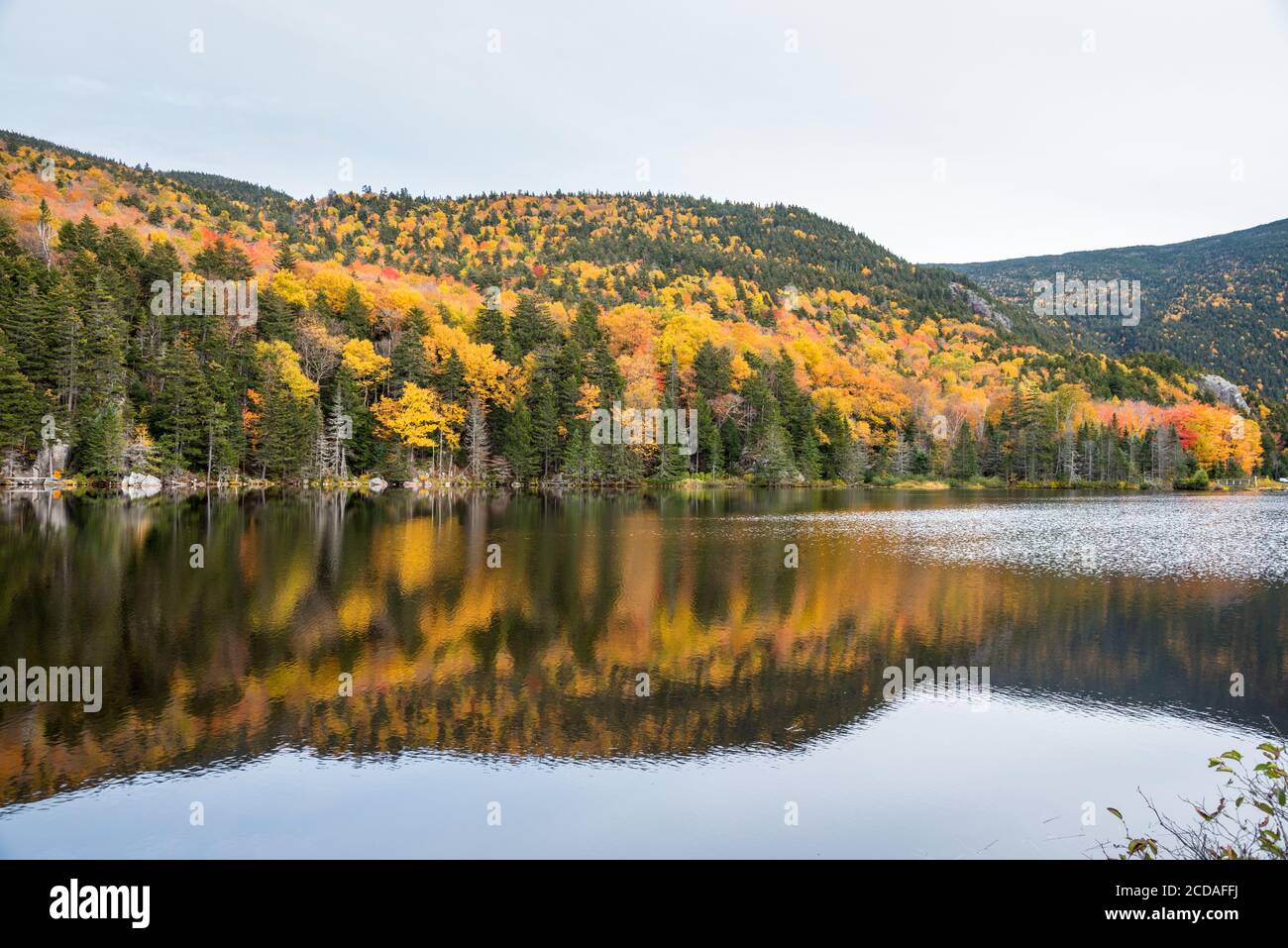 Colori autunnali intorno ad un lago di montagna in una giornata nuvolosa Foto Stock