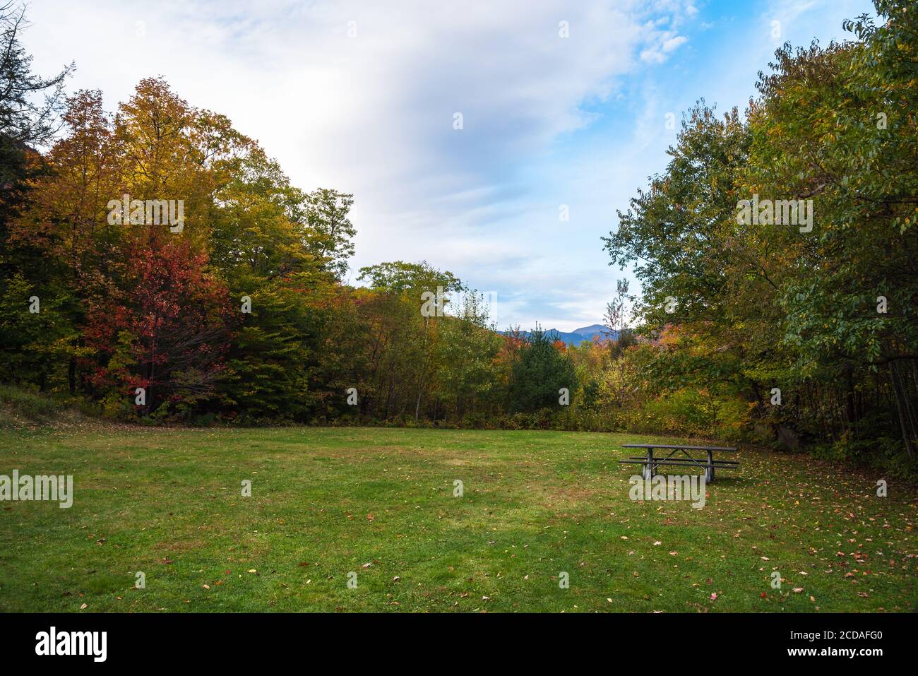 Tavolo da picnic vuoto in una radura in una foresta decidua in montagna in autunno Foto Stock