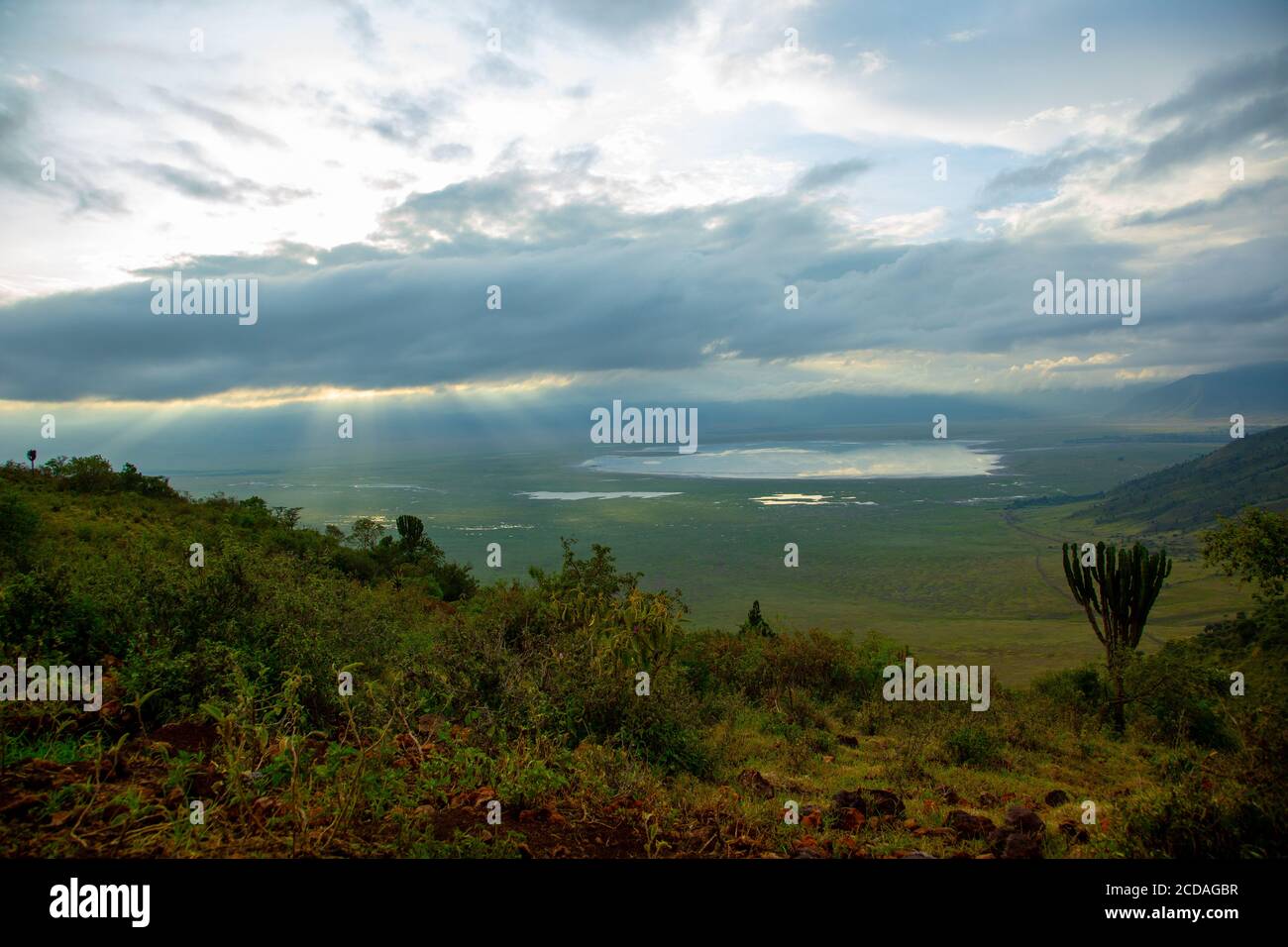 Vista panoramica del cratere e del bordo della zona di conservazione di Ngorongoro, Tanzania. Anche il Lago Magadi è visibile Foto Stock