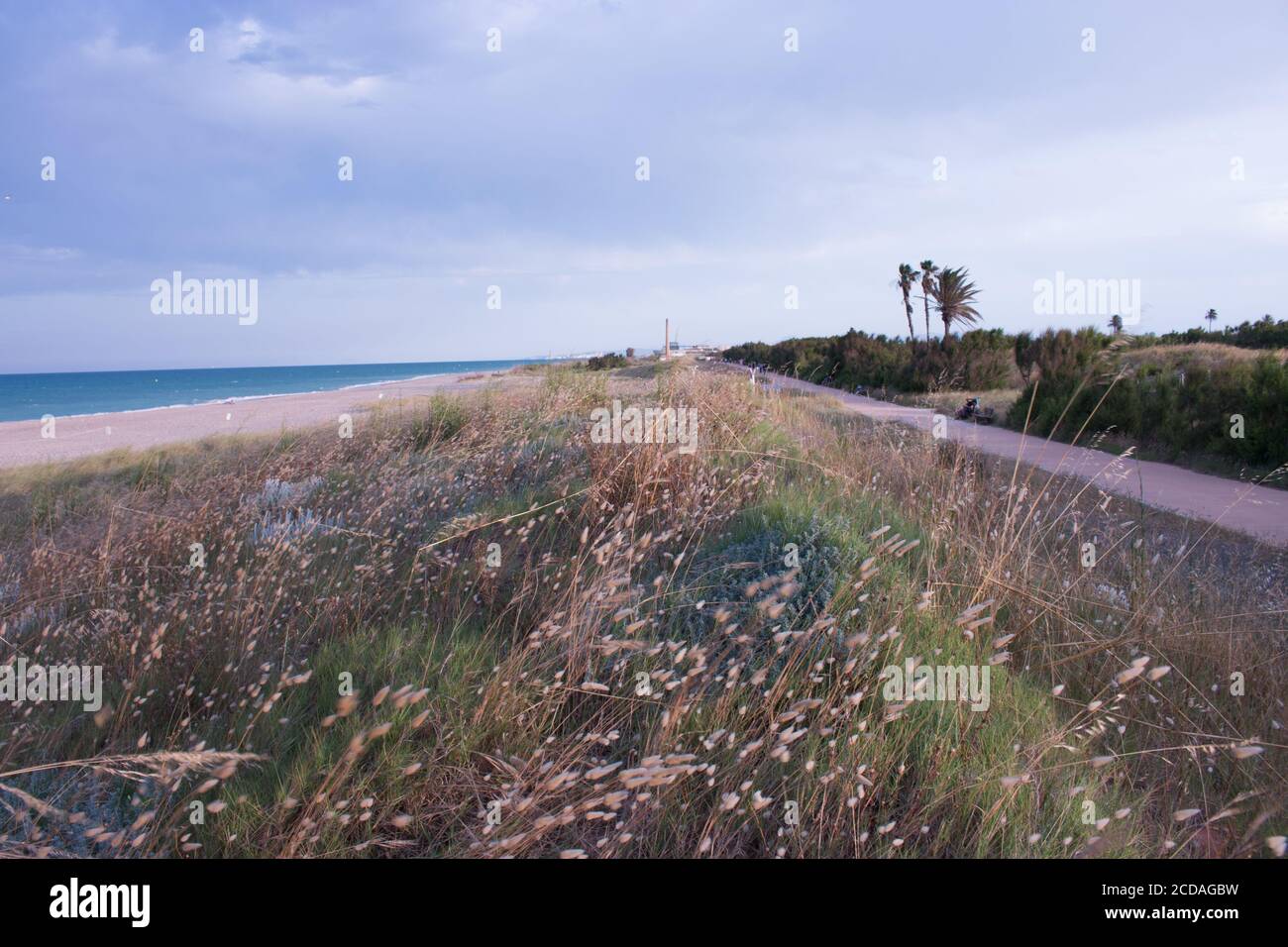 vista paisaje desde arriba de una duna de césped con el mar a un lado y el paseo al otro lado Foto Stock