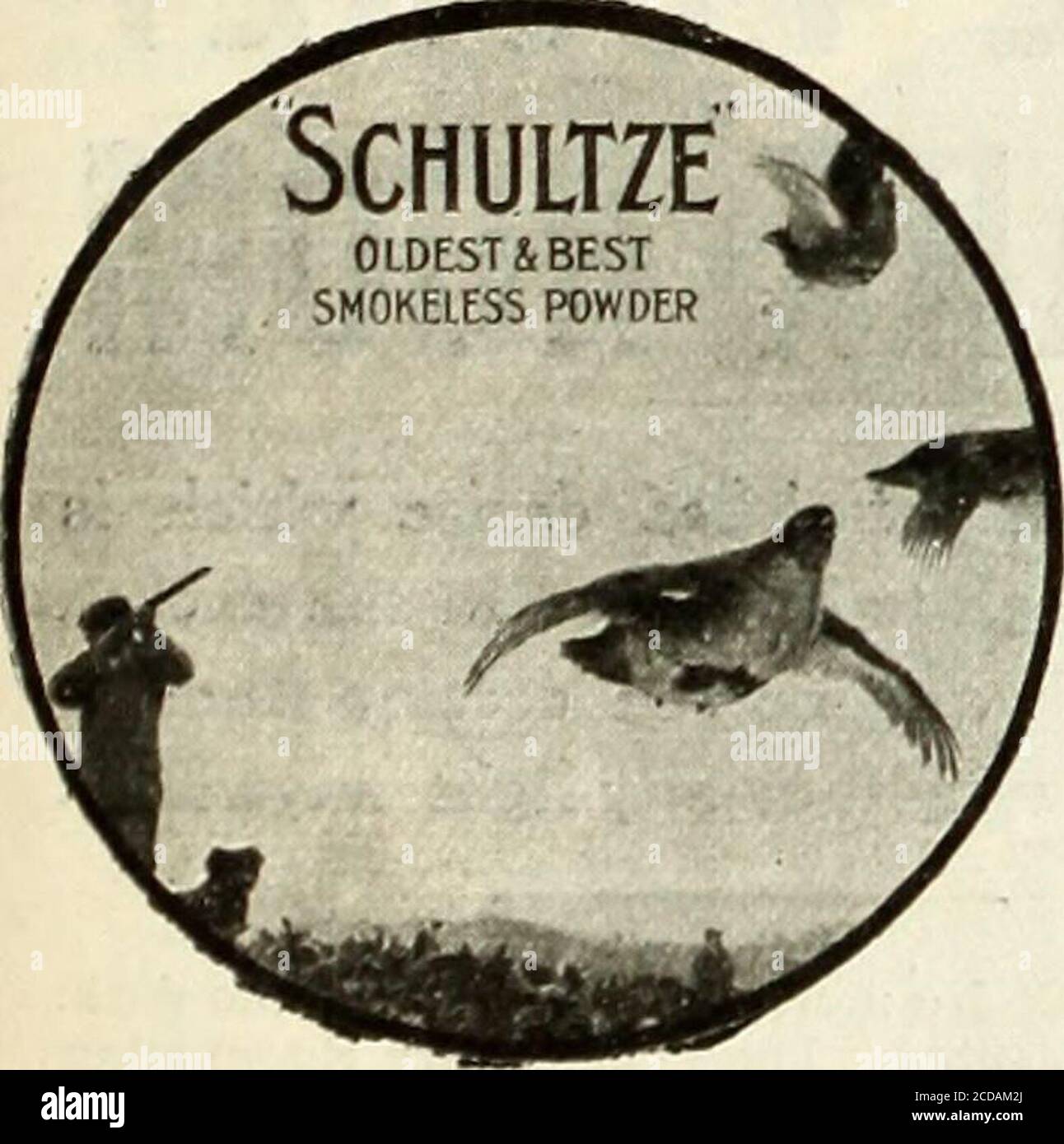 . Lista annuale dell'esercito di HART, lista delle milizie e lista imperiale di yeomanry . nce of) proprio Regiment dello Yorkshire occidentale 247 Waless (Principe di) Volontarii (Reggimento del Lancashire del Sud) 295Waless (Principessa Charlotte di) Regiment del Berkshire 310 Waless (Principessa di) proprio Reggimento dello York-shire 256 Abbazia di Waltham, Gunpowder Factory at 123 War Office 2 Warwickshire Regiment 234 Wellingtons (Duca di) AVest Riding Regiment 284 Fusiliers gallesi 263 Regiment 297 Reggimento Africa Occidentale 362/ India Regiment 360 Indie, &c, staff in 115 Kent Regiment jk Riding Regiment 234 Surrey Regiment 227 Yorkshire Regiment 247 Australia Occidentale Foto Stock