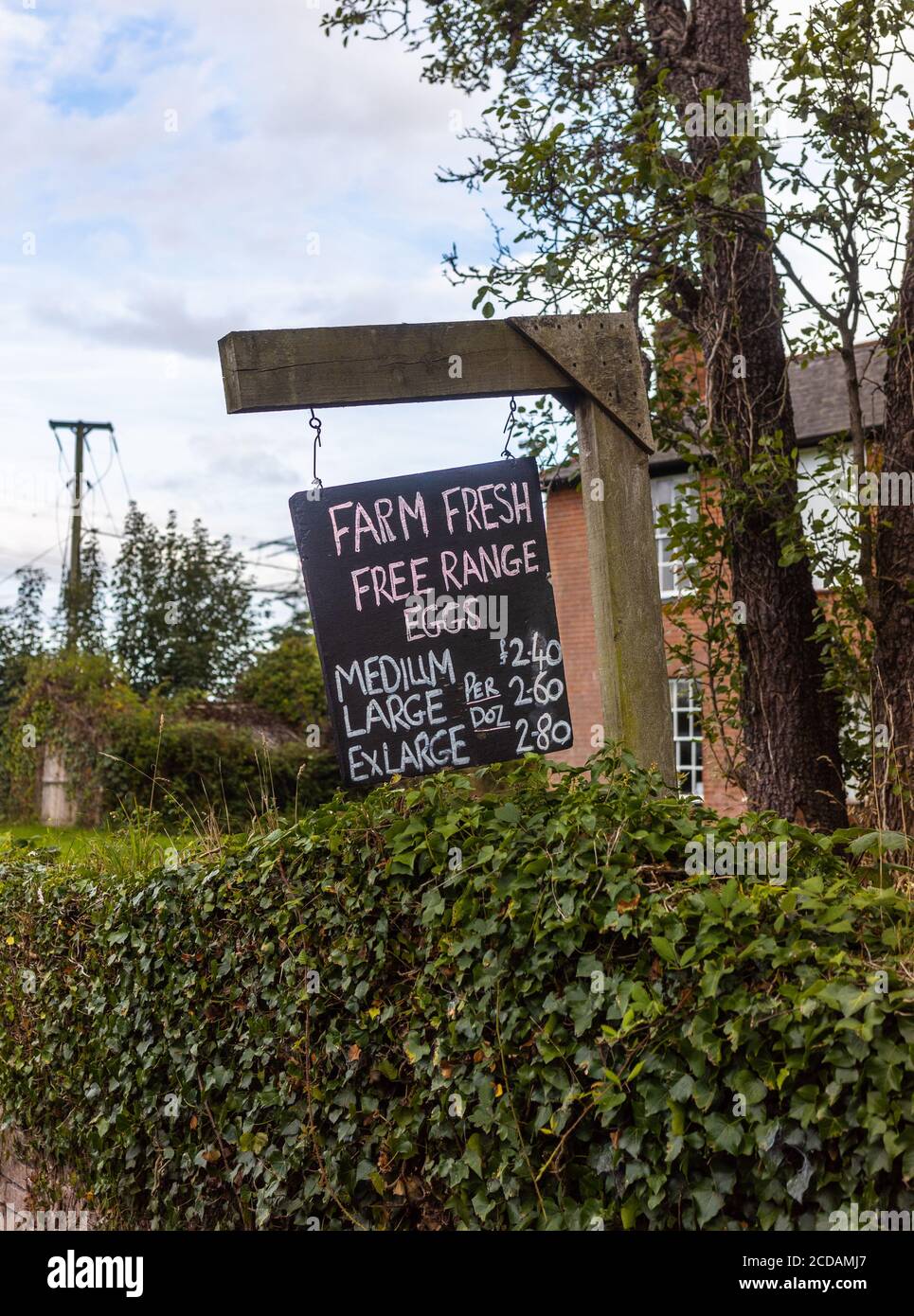 Un cartello appeso all'esterno di una fattoria indicante la vendita di uova di allevamento a gamma libera a Marchwood, alla periferia della New Forest in Hampshire, Inghilterra, Regno Unito Foto Stock