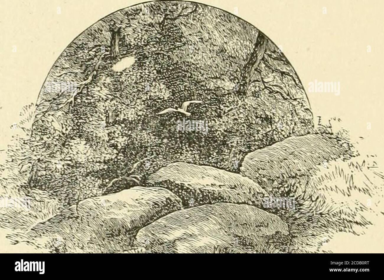 . Pittoresca Washington: Disegni a penna e matita del suo scenario, la storia, le tradizioni, la vita pubblica e sociale, con descrizioni grafiche del Campidoglio e del Congresso, la Casa Bianca, e i dipartimenti governativi .. . -^:^^ i^^^^Wl:r&gt;^^:C-^^. Adams, John, 147. John Quincy, no, 152.Agriculture, Dipartimento di, 327. Commissario di, 228. Museo di, 231.Alexandria, 276. Archivi antichi (Dipartimento di Stato), 170.Architetti del Campidoglio, 70, 71, 74. Ufficio brevetti, 214. Ufficio postale, 305. Treasury, 175, 176. Architetto della Casa Bianca, 13S. State, War, and Navy Building, 169. Departme Foto Stock