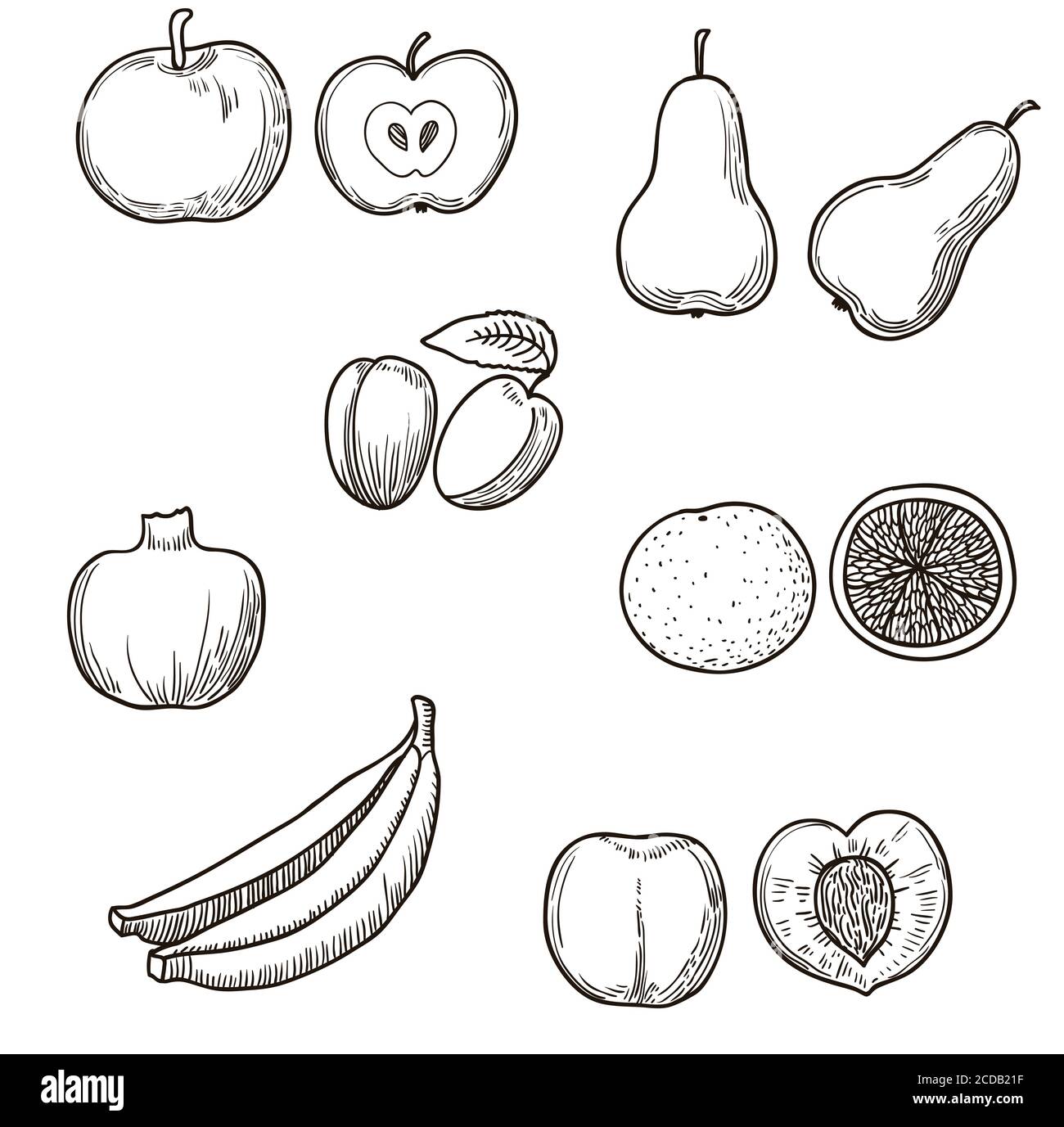 Grande set di frutta disegnata a mano Illustrazione Vettoriale