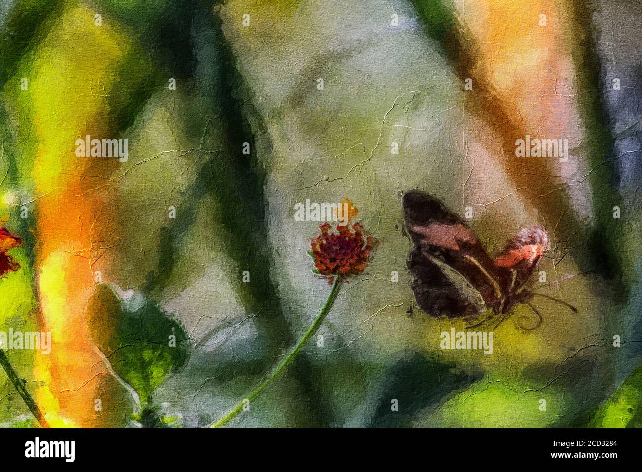 farfalla in volo illustrazione, olio pittura texture Foto Stock