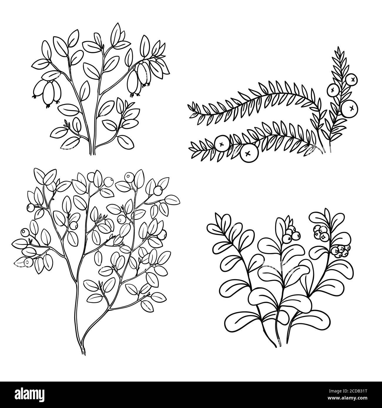 Set con frutti di bosco in linea bianca e nera Illustrazione Vettoriale