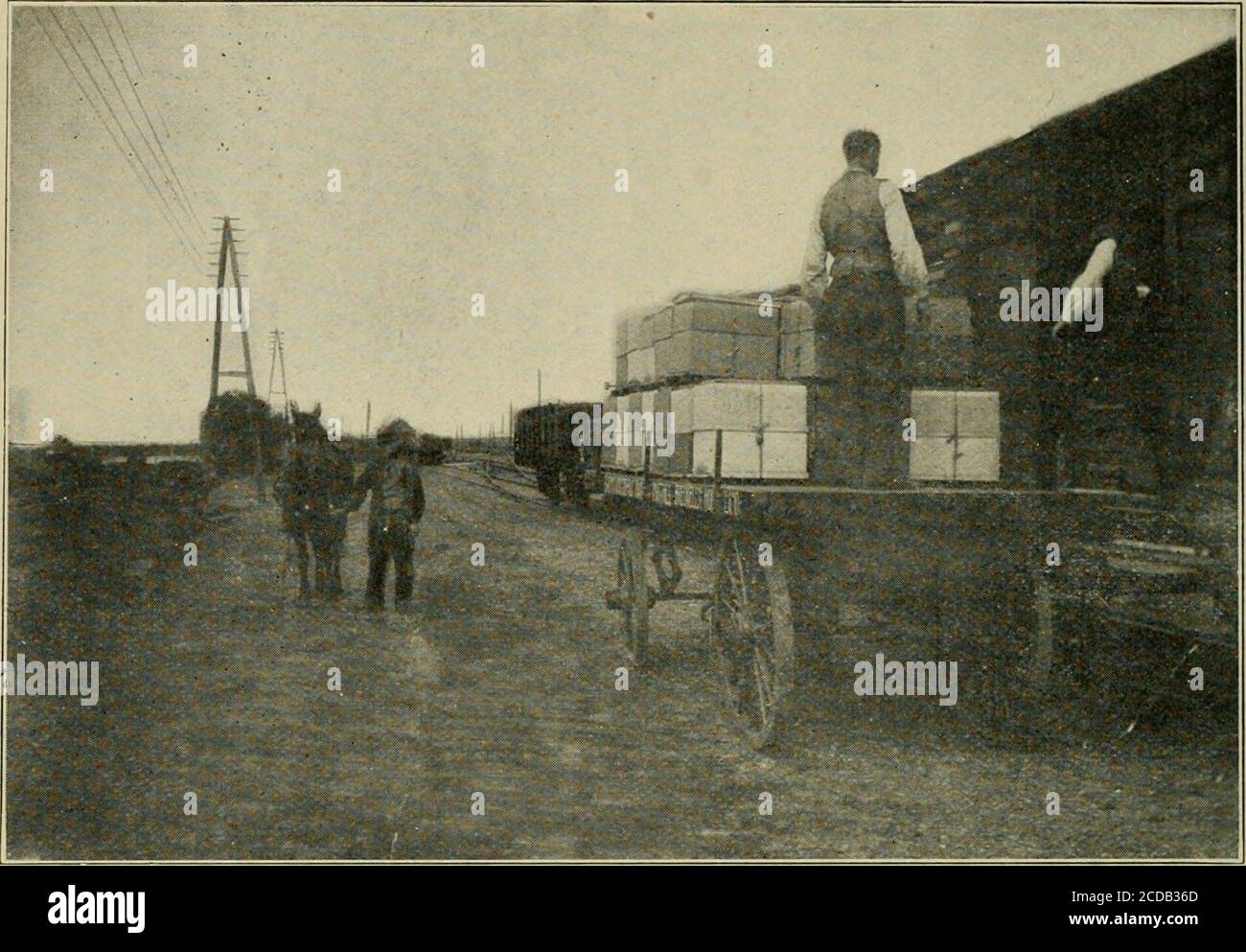 . Gleanings nella coltura delle api . 14 GLEANINGS IN COLTURA DELLE API 1 GENNAIO. FIG. 2.-L'APICOLTURA MIGRATORIA IX HOLILAND. Le api vengono inviate per ferrovia alla stazione più vicina ai fields di grano saraceno, e quindi trasportate nella posizione desiderata per ferrovia. APICOLTURA MIGRATORIA IN OLANDA. DI HANS MATTHES. ESTRAZIONE DEL MIELE APPENA ASCOMBS VENGONO RIMOSSI DAI POMELI. IL primo numero di ottobre, 1908, è stato un articolo illus-trated che mostra il mio apiary e ora ho il piacere di presentare alcune nuove visioni che, forse, sarà di interesse. Fig. 1è una parte del mio apiary domestico, il hivesbing riparato nel tempo di inverno dal Foto Stock