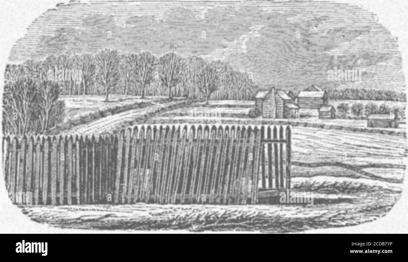 . Collezioni storiche dell'Ohio: Un'Enciclopedia dello Stato; Storia sia generale che locale, Geografia con descrizioni delle sue contee, città e villaggi, il suo Agricoltura, produzione, Miniere e sviluppo commerciale, schizzi di personaggi eminenti e interessanti, ecc., con note di un giro su di esso in 1886 V 2 . abitanti. - Edizione Vecchia. Circa cinque miglia a nord-est di Bellefontaine, sulle acque di testa del fiume Mad, è la tomba del generale Simon Kenton. Risiedette per gli ultimi anni di sislife nella piccola casa di tronchi mostrata a destra dell'incisione, dove respirò l'ultimo. H Foto Stock . Collezioni storiche dell'Ohio: Un'Enciclopedia dello Stato; Storia sia generale che locale, Geografia con descrizioni delle sue contee, città e villaggi, il suo Agricoltura, produzione, Miniere e sviluppo commerciale, schizzi di personaggi eminenti e interessanti, ecc., con note di un giro su di esso in 1886 V 2 . abitanti. - Edizione Vecchia. Circa cinque miglia a nord-est di Bellefontaine, sulle acque di testa del fiume Mad, è la tomba del generale Simon Kenton. Risiedette per gli ultimi anni di sislife nella piccola casa di tronchi mostrata a destra dell'incisione, dove respirò l'ultimo. H Foto Stock