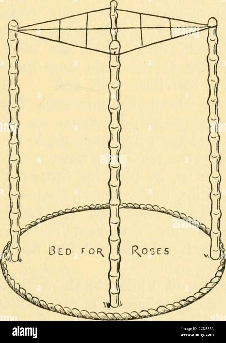 . Il giardinaggio di rose; come gestire le rose e goderle. Lture è thecaratteristy del giardino, o la parte particolare del giardenis il rossery. Gli annuali, o assestamento perenni teneri, andbiennali, sono la cosa migliore, perché sono carted via quando pasthano la gloria, in modo da lasciare il terreno vacante per il tempo a mellow, tranne nelle temperature estive. Le rose godono di un'ombreggiatura leggera nei mesi caldi. Di coursewe non vogliono impiegare sfumature artificiali nel ornamentalgarden, in modo da alcuni giardinieri intelligenti adottare diversi devices.i hanno visto clematises bianchi cresciuti su dodici piedi alti pali. LETTI DI ROSES 79 e lungo fili Joi Foto Stock