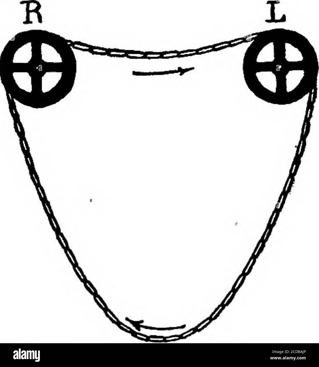 . Fisiologia nutrizionale . s nella circolazione polmonare in una volta, ma lo studente deve essere avvertito contro la condiscendenza che il circuito polmonare è attraversato da meno sangue che passa attraverso le vie sistemiche. Le quantità che passano lungo le due vie sono inevitabili, perché è, dopotutto, lo stesso sangue che scorre a sua volta. Se una catena allentata viaggia su due ruote. LA CIRCOLAZIONE 121 come mostrato nello schema (Fig. 18), le Unks passano i due numeri uguali, eppure ci sono sempre più collegamenti loro via da Lio R che da Rio L. quando parliamo di un hea Foto Stock