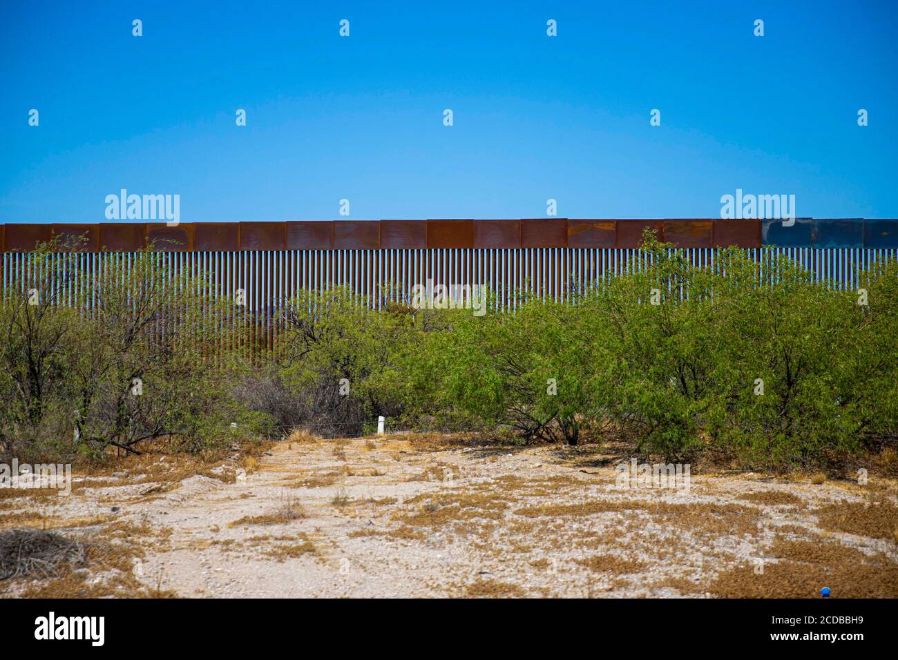 Muro di confine in acciaio tra le strisce di sonora e Arizona nel deserto dell'altare, sonora, Messico. L’estensione del muro da parte del governo di Donald Trump negli Stati Uniti comporta problemi di passaggio della fauna al confine e nelle riserve naturali. Parete, recinzione. (Foto: Luis Gutierrez di NortePhoto.com) Muro fronterizo de acero entre las franjas de sonora y Arizona en el desierto de altare, sonora, Messico. La amplacion del muro por parte del gobierno de Donald Trump en los Estados Unidos trae consigo problemas del paso de faunal en la Frontera y las reservas naturales. Muro, barda. Foto Stock