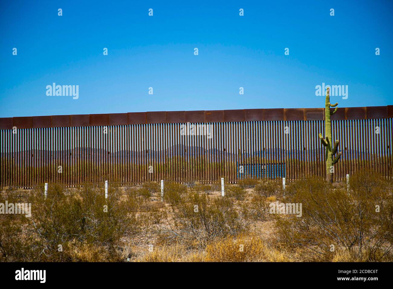 Muro di confine in acciaio tra le strisce di sonora e Arizona nel deserto dell'altare, sonora, Messico. L’estensione del muro da parte del governo di Donald Trump negli Stati Uniti comporta problemi di passaggio della fauna al confine e nelle riserve naturali. Parete, recinzione. (Foto: Luis Gutierrez di NortePhoto.com) Muro fronterizo de acero entre las franjas de sonora y Arizona en el desierto de altare, sonora, Messico. La amplacion del muro por parte del gobierno de Donald Trump en los Estados Unidos trae consigo problemas del paso de faunal en la Frontera y las reservas naturales. Muro, barda. Foto Stock