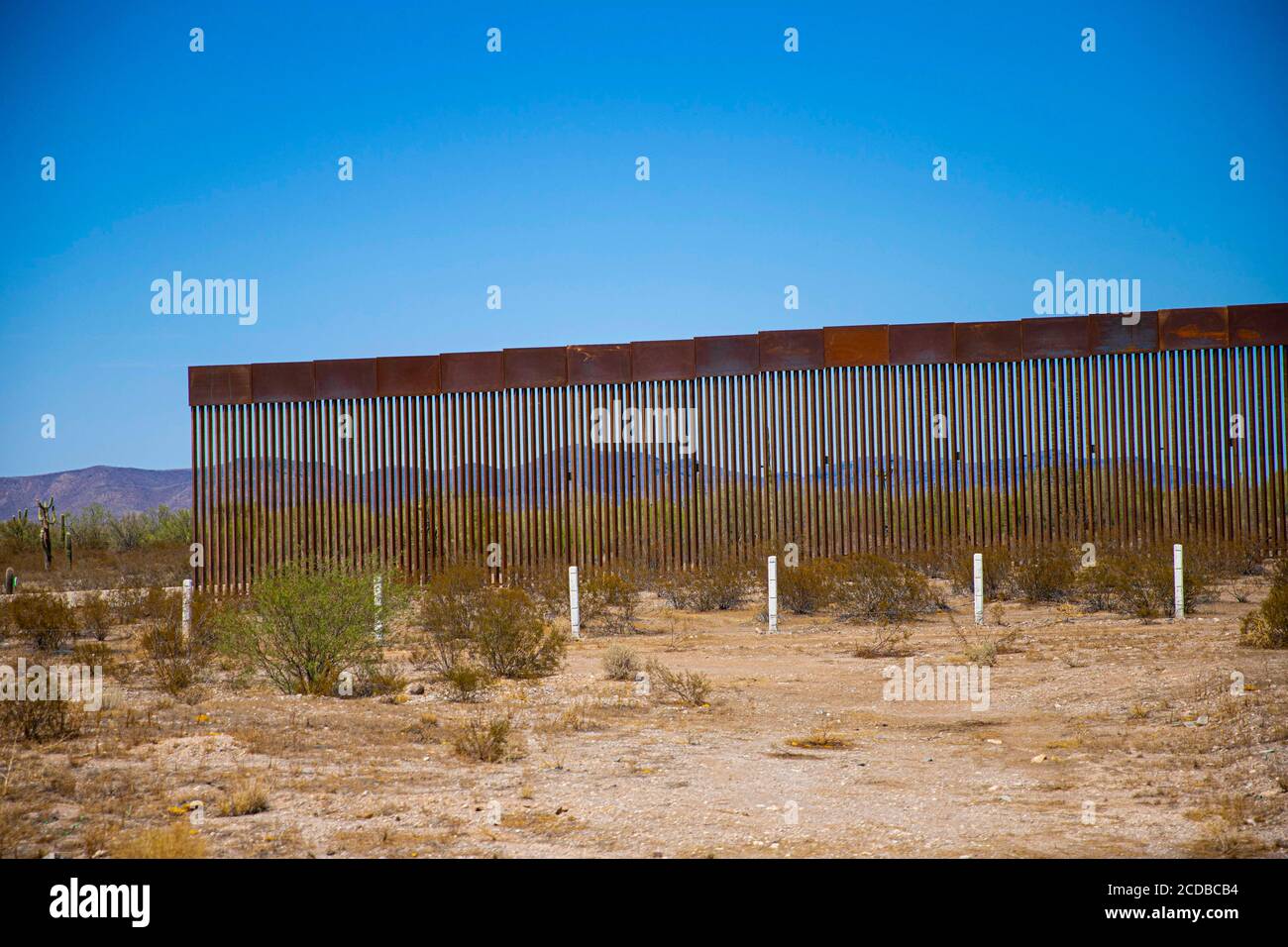 Muro di confine in acciaio tra le strisce di sonora e Arizona nel deserto dell'altare, sonora, Messico. L’estensione del muro da parte del governo di Donald Trump negli Stati Uniti comporta problemi di passaggio della fauna al confine e nelle riserve naturali. Parete, recinzione. (Foto: Luis Gutierrez di NortePhoto.com) Muro fronterizo de acero entre las franjas de sonora y Arizona en el desierto de altare, sonora, Messico. La amplacion del muro por parte del gobierno de Donald Trump en los Estados Unidos trae consigo problemas del paso de faunal en la Frontera y las reservas naturales. Muro, barda. Foto Stock