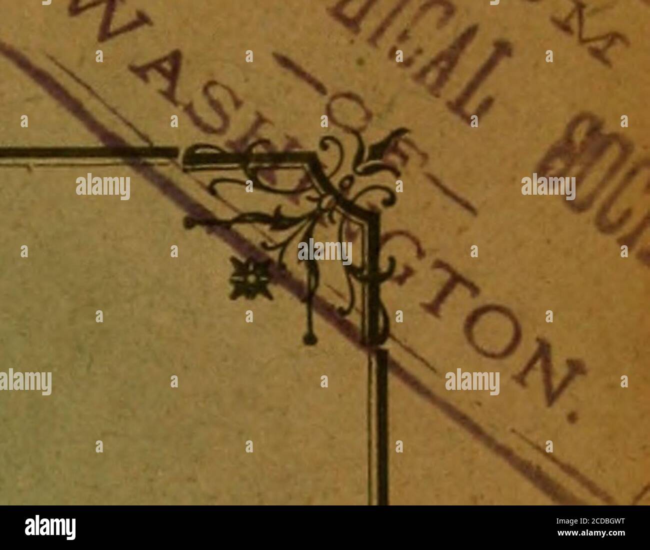 . Bollettino della Société géologique de France . BOLLETTINO. DE LA SOCIÉTÉ GÉOLOGIQUE DE FRANCE (CETTE SOCIÉTÉ, FONDÉE LE 17 MARS 1830, A ÉTÉ AUTORISÉE ET RÉCONNE COMMEÉTABLISSEMENT DUTILITÉ PUBLIQUE, PAR ORDONNANCE DU ROI DU 3 AVRIL 1832) TROISIEME SERIE TOME VINGT-ET-UNIEME NOTES ET MOIRES : FEUILLES 5-9.(PL I-III). Foto Stock