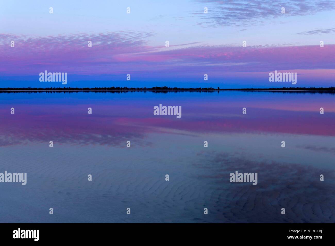 Lago Ninan Salt Lake, Victoria Plains, Australia occidentale Foto Stock