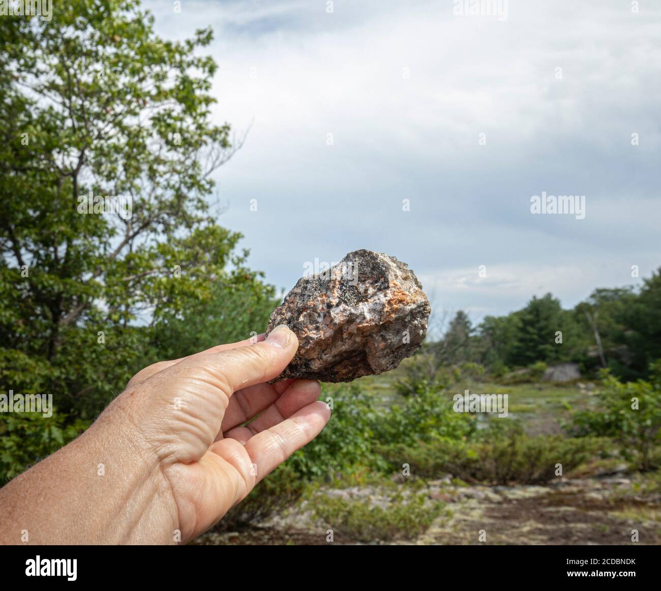 Un closeup di una mano che tiene una roccia di sedimento glaciale Da Torrance Barrens a Muskoka Foto Stock