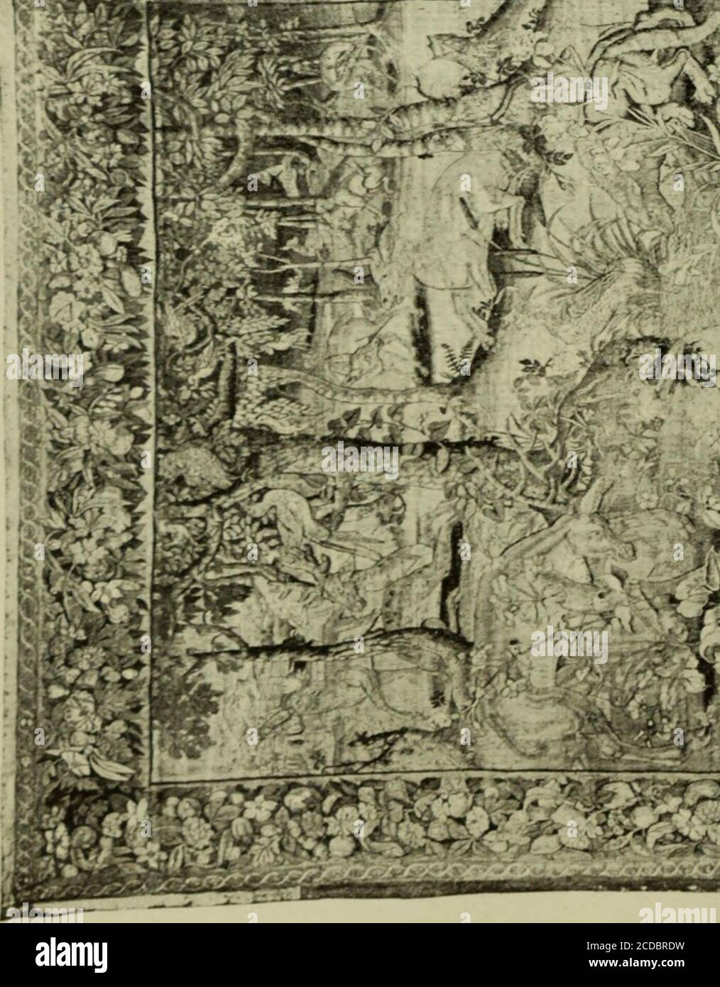 . Il Palazzo ducale di Urbino e la Galleria Nazionale delle Marche . vmsmm-RM i  .« H i lllll Tav. V.. ^ ^   Foto Stock