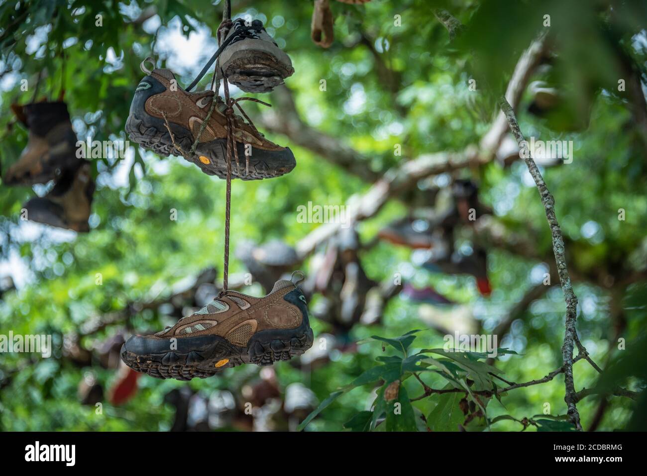 Punto di riferimento del sentiero Appalachian, Boot Tree at Mountain Crossings, a Neels Gap nelle Blue Ridge Mountains della Georgia settentrionale, vicino a Blairsville. (STATI UNITI) Foto Stock