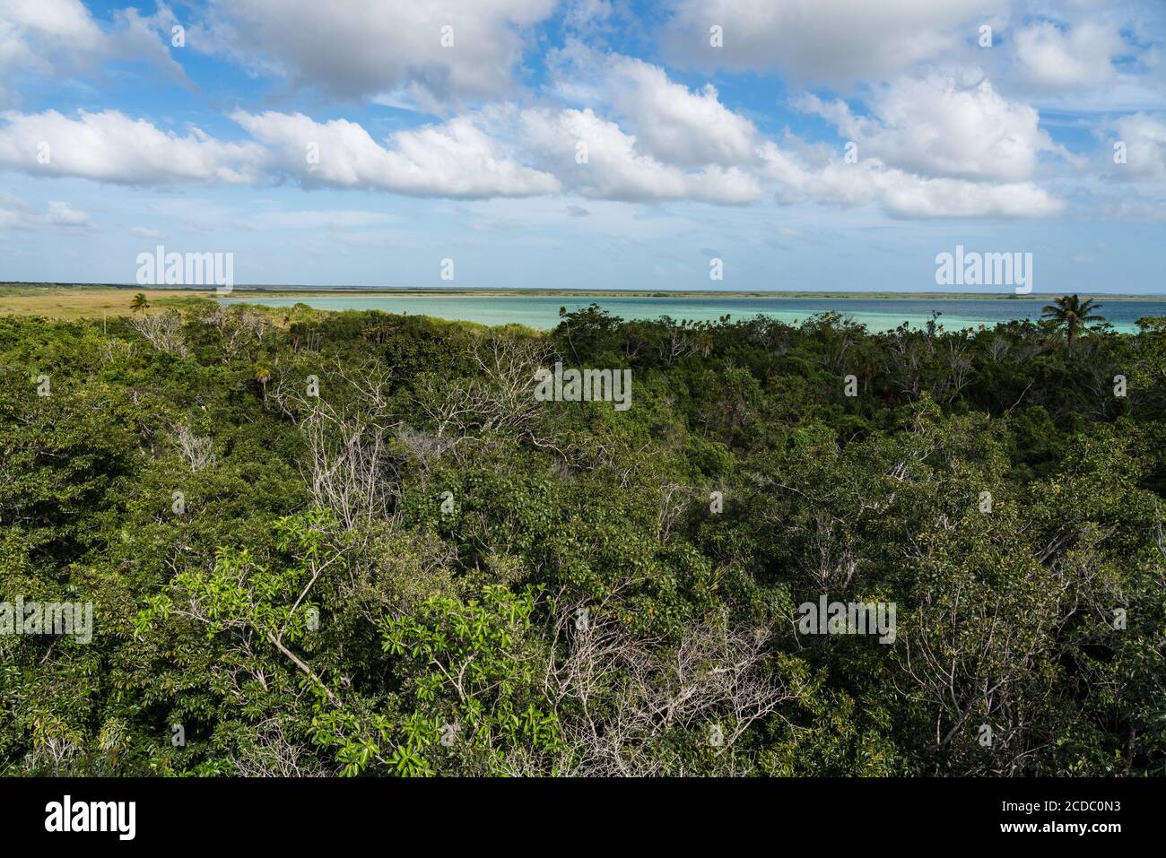 La vista della Laguna di Muyil e la foresta da la torre di osservazione in legno nella foresta pluviale tropicale nella Sian Ka'an UNESCO mondo Biosfera Rese Foto Stock