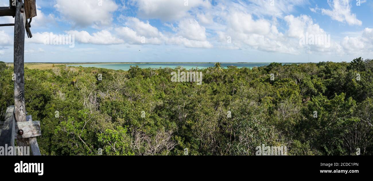 La vista della Laguna di Muyil e la foresta da la torre di osservazione in legno nella foresta pluviale tropicale nella Sian Ka'an UNESCO mondo Biosfera Rese Foto Stock