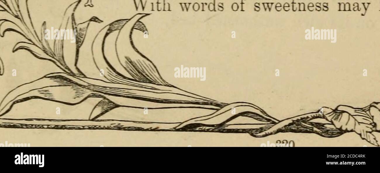 . Letteratura, arte e canto: Melodie di Moore e poesie americane; . ^ ^ ?.i^^ ^r^ ^^) ^^^ e, lieve come l'ora del matron degli eventi.guarda il fiore che si sta chiudendo, UNA madre ha visto le nostre palpebre vicino.e le ha gettate in puro riposo; poi, ply se una settimana, Un giorno, mi sono soffermato da quella casa lontano, quanto tempo la poca assenza sembrò!quanto luminoso l'aspetto del beamd di benvenuto, come muto avete sentito, con sorriso desideroso, le mie storie di tutto che passd il tempo! Eppure ora, il mio Kate, un cupo mare Rolls largo tra quella casa e me; la luna può tre essere sopportato e die.ere evn che il sigillo può raggiungere il mio occhio, Wliich usato così spesso, così veloce a. Foto Stock