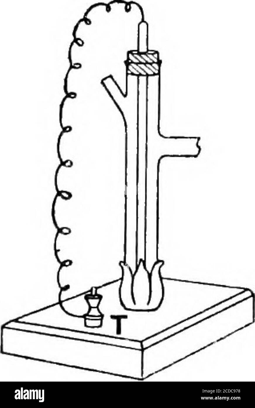 . Chimica fisica pratica. Tempo di attesa fino a quando il calomel si è stabilizzato, e la soluzione poi decantedoff. Infine, la pasta viene agitata con il quantitativo rimanente della soluzione di cloruro di potassio (per saturare la latteria con calomel), che dovrebbe poi essere decantata e mantenuta in bottiglia con tappo per uso futuro. Dopo aver posto il mercurio e la pasta di calomelano nel tubo, inserire un tappo di gomma o sughero paraffinato, portante iltubo di vetro C, con filo di platino, che deve immergersi nel mercurio sul fondo del tubo. Il recipiente viene quindi filtrato con la soluzione di potassio Foto Stock