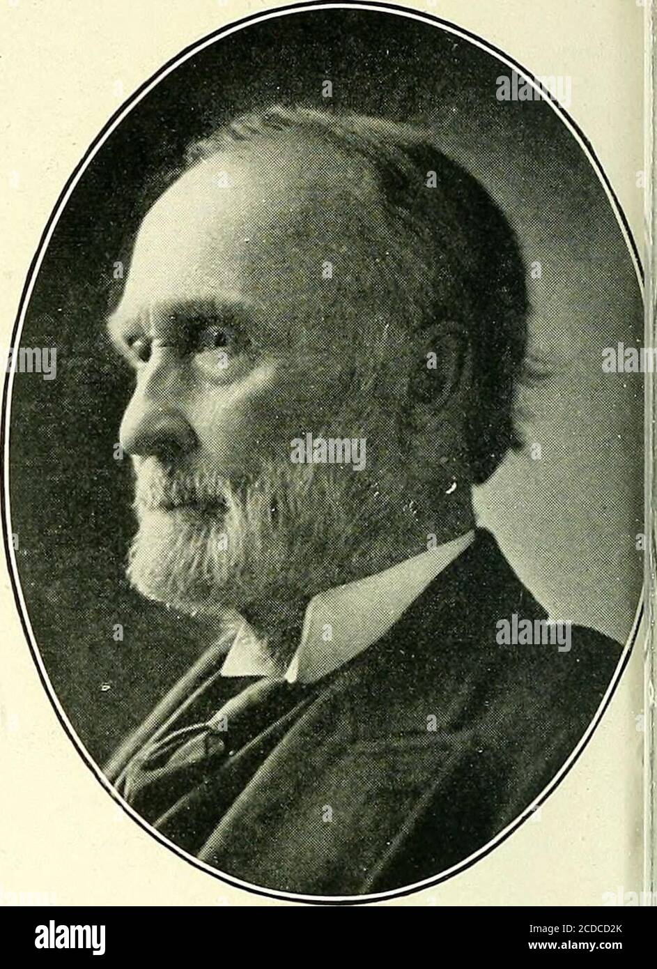 . Men of Minnesota; una collezione di ritratti di uomini prominenti nel mondo degli affari e della vita professionale in Minnesota . SOREN HOLEN ST. JAMES.LUMBER COMMERCIANTE. DAVID TOZER STILLWATER. J PRES. STILLWATER LUMBER CO.; DIRETTORE LUMBMj Mens natl e prime banche natl. IO Foto Stock