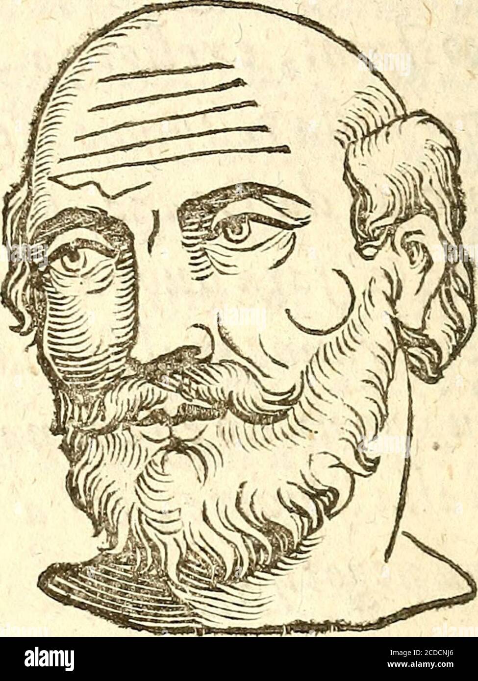 . La metoposcopia, ouero, Commissione delle linee della fronte . Be p 4 della Metopofcopia. Del concorfo della solare con laLunare, Gap, XXVII. Se le linee del S ole^e della Luna concorderanno infeme 5 e che pano^benformate^ (^ in modo^chvna fol linea ap^pàrerà^figurificanoforte^i^ robuftanatu-^^(^longa ruita, ^feforma^ero njnangolo apprejfo il nido granfeicità fì nido obliquo^^f^credo. ^^ gìitficdno njita debile^ fé htne affai hr^ga.ìf non molta profferita . Foto Stock