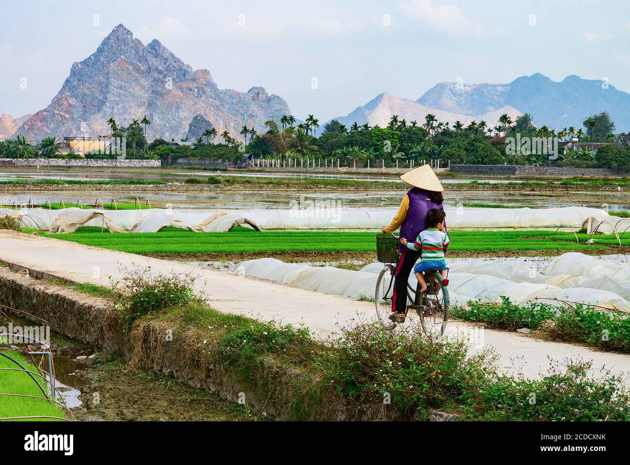 Field, sobborgo di Hai Phong, Vietnam Foto Stock