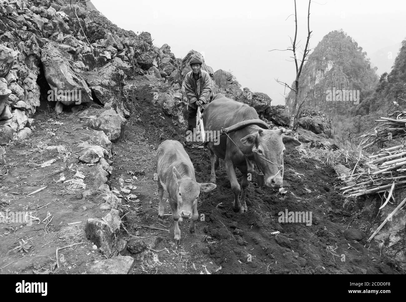 Scenario in alta montagna nel nord del Vietnam Foto Stock