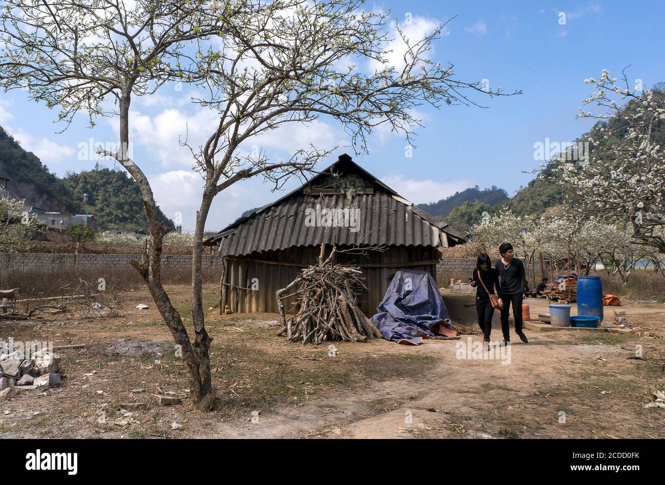 Scenario in alta montagna nel nord del Vietnam Foto Stock