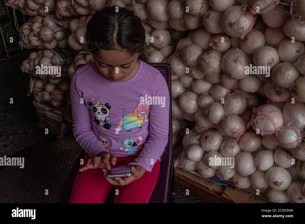 27 agosto 2020, Messico, Mexiko-Stadt: Little Esbydi siede di fronte ai sacchi di cipolla al mercato e impara sul suo telefono cellulare, perché le scuole devono rimanere a causa della pandemia di Corona e deve andare al mercato durante il giorno con sua madre, che lavora lì. Il nuovo anno scolastico è iniziato - ed è via televisione. Tuttavia, molti bambini non possono rimanere a casa da soli durante il giorno e seguire le lezioni via telefono cellulare, il che comporta costi considerevoli per i genitori. (Alla televisione dpa invece che in classe: Il Messico va la sua strada' all'inizio della scuola su 28.08.2020) Foto: Jacky Mun Foto Stock