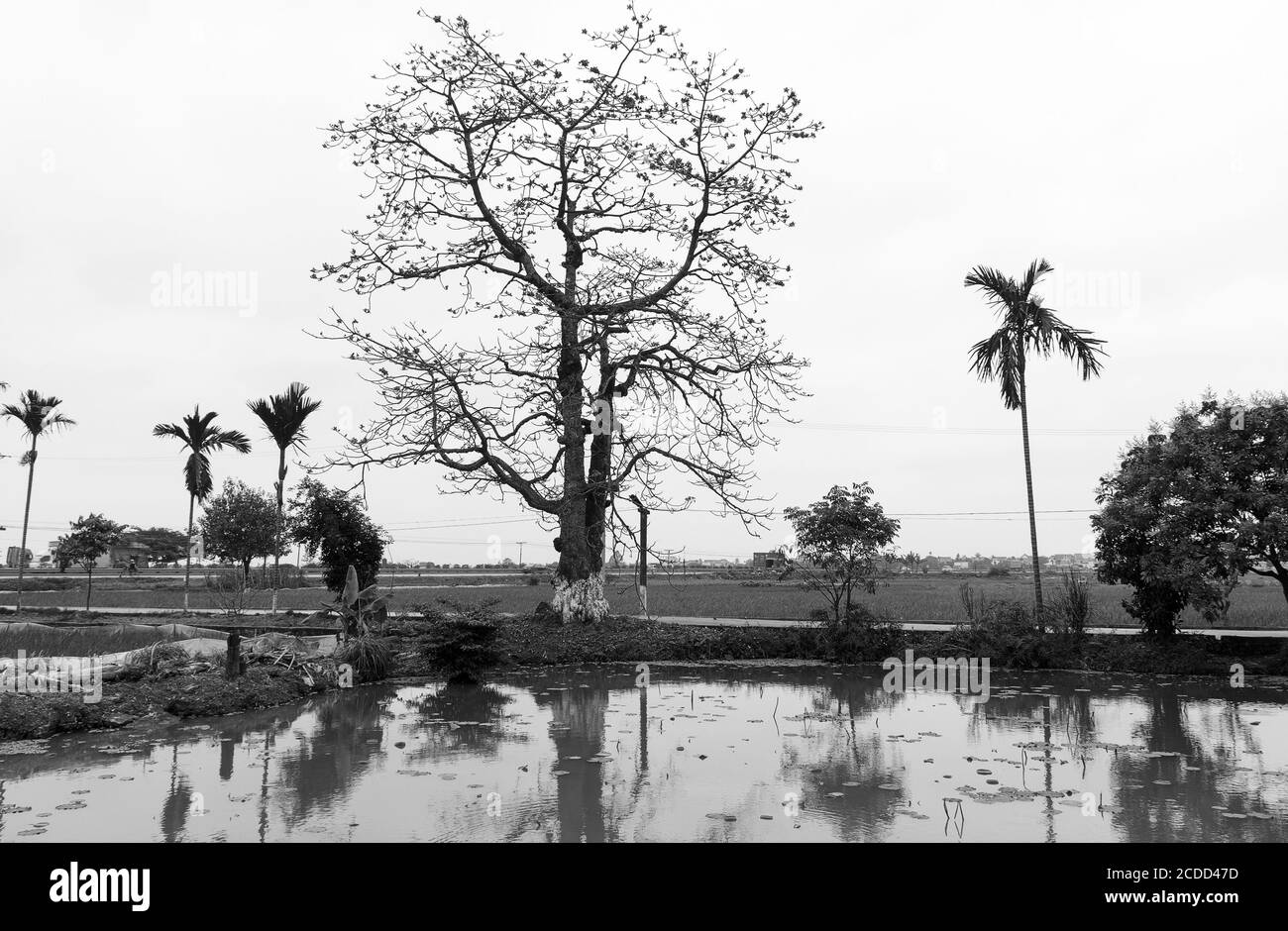 MAO Dien Tempio della Letteratura, Provincia di Hai Duong, Vietnam Foto Stock
